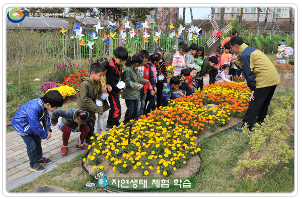 자연생태4 사본(1).jpg